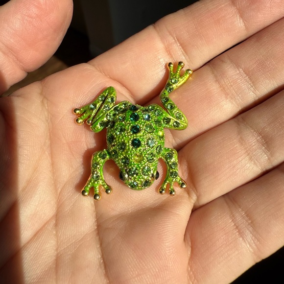 Colorful Animal Brooch Set - Picture 10 of 16